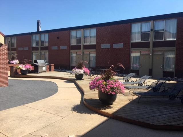 Boarders Inn & Suites By Cobblestone Hotels - Grand Island Esterno foto